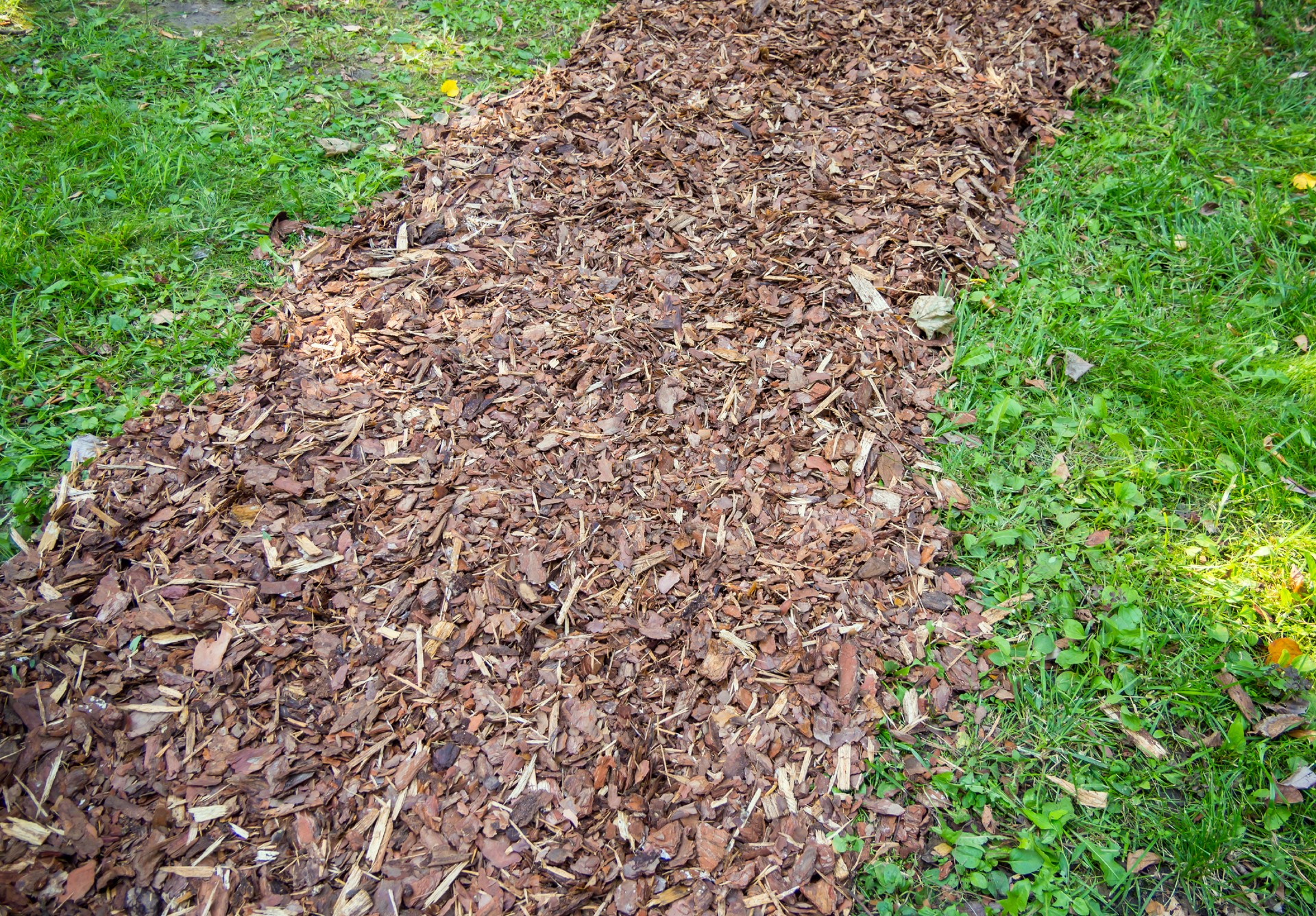 Garden path made of strewn tree bark